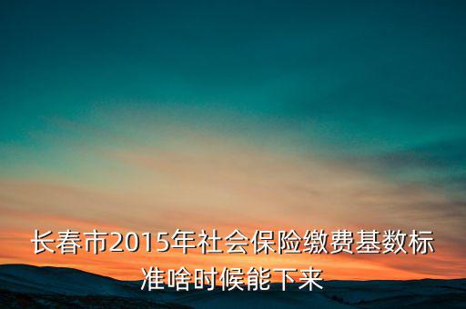 長春市2015年社會保險繳費基數(shù)標(biāo)準(zhǔn)啥時候能下來