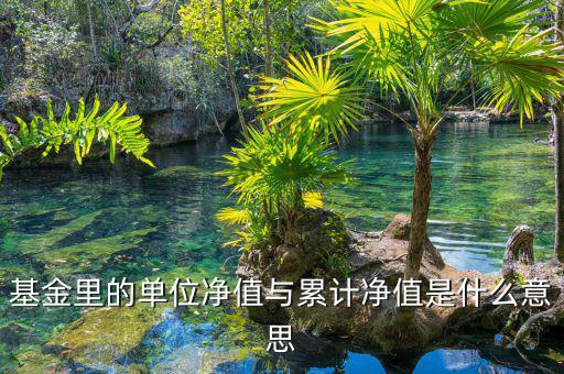 基金凈值和累計凈值是什么，基金里的單位凈值與累計凈值是什么意思