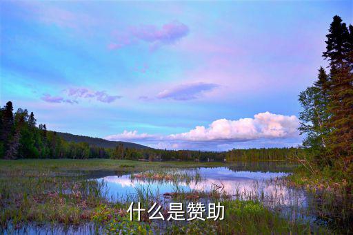 贊助核心是什么，什么是贊助