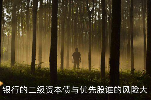 銀行的二級(jí)資本債與優(yōu)先股誰的風(fēng)險(xiǎn)大