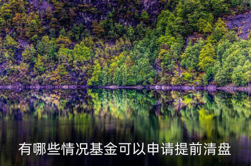 基金什么情況下清盤能有多少錢，基金在什么情況下有清盤的可能