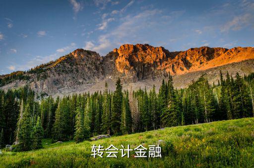 什么是外匯飽和，國(guó)外網(wǎng)友說要轉(zhuǎn)外幣給我叫我轉(zhuǎn)給她國(guó)內(nèi)的朋友她國(guó)內(nèi)的朋友銀