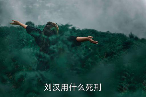劉漢什么罪，劉漢用什么死刑