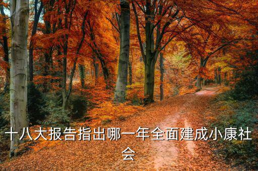 到2020年全面小康什么時(shí)候提出的，我國(guó)基本小康實(shí)現(xiàn)的時(shí)間