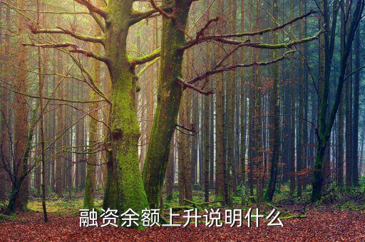 濰柴融資額度很高說明什么，融資余額上升說明什么