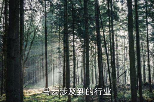 馬云投入醫(yī)藥行業(yè)什么意思，藥店買藥馬云買單什么意思