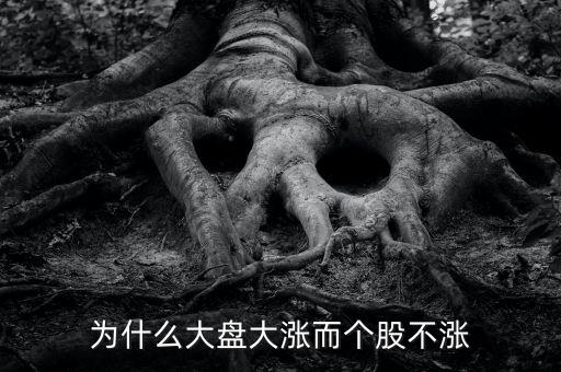 板塊都漲我的個股不長什么原因，為什么大盤大漲而個股不漲