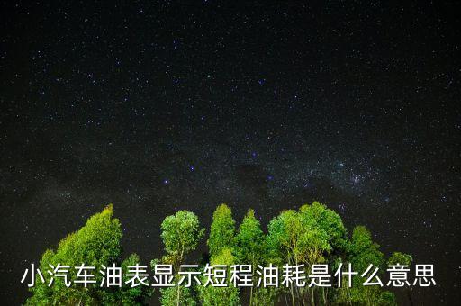 油耗顯示是指什么，請教專業(yè)人士瞬時油耗顯示是什么意思