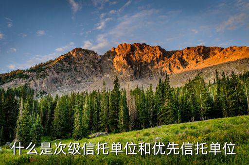 什么是優(yōu)先次級受益人，簡單解釋下信托的優(yōu)先次級機(jī)構(gòu)是什么意思