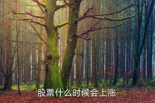 股票在什么情況下才會漲，股票什么時候會上漲