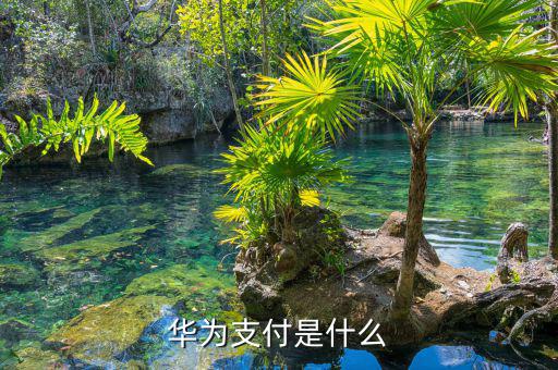 華銀支付是什么，華為支付是什么