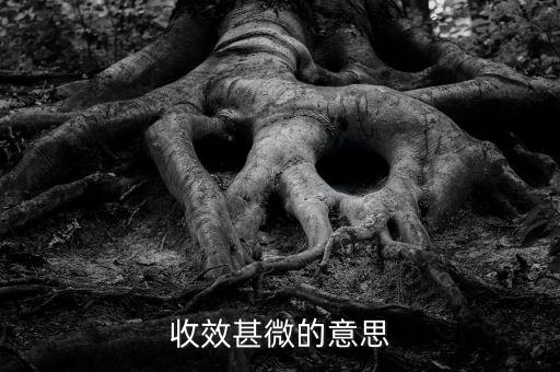 收效甚微的微是什么意思，收效甚微的意思