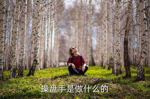 操盤(pán)手是做什么的