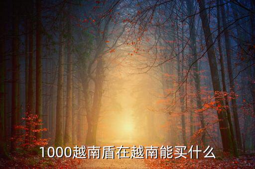 1越南盾能買什么，1盾越南幣能買什么