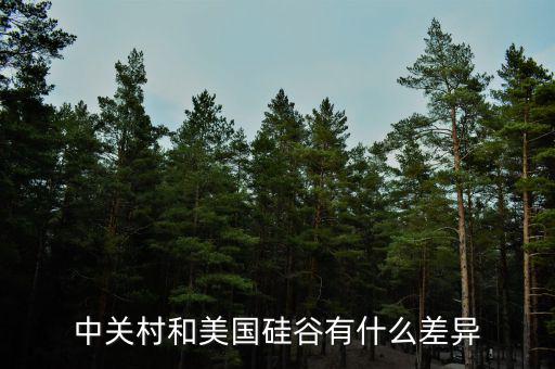為什么中國(guó)的中關(guān)村變不成美國(guó)的硅谷，中國(guó)硅谷是