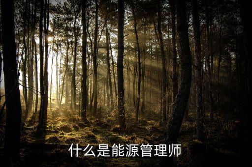什么是能源沙，煤沙是什么是煤沒有燃燒之前篩選出來的還是燃燒過之后產(chǎn)生的