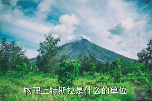 etp是什么，物理上特斯拉是什么的單位
