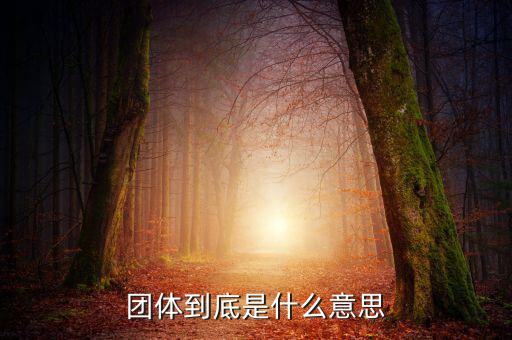 游說(shuō)團(tuán)體是什么，什么是團(tuán)體