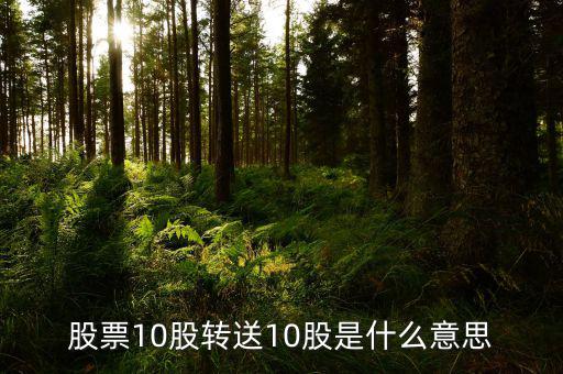 十股轉(zhuǎn)贈十股是什么意思，股票10股轉(zhuǎn)送10股是什么意思
