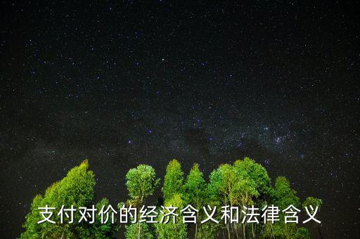 交易對價什么意思，車輛買賣已經(jīng)支付對價什么意思