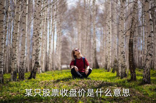 某只股票收盤(pán)價(jià)是什么意思