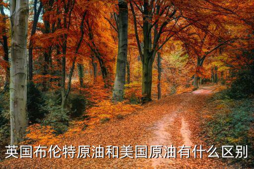 布油與美國原油有什么不同，英國布倫特原油和美國原油有什么區(qū)別