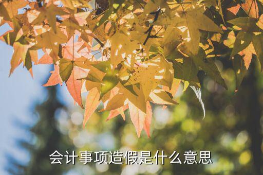 什么是財務造假，財務造假和利潤操縱是一個意思嗎