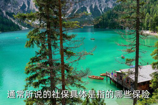 社保包括什么保險(xiǎn)，社保具體是指的哪些保險(xiǎn)