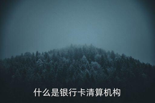同一卡組織清算機(jī)構(gòu)指什么，銀行卡清算機(jī)構(gòu)銀行支付機(jī)構(gòu)到底有什么區(qū)