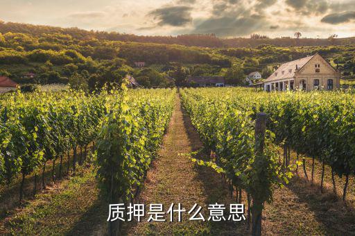 質(zhì)押是什么意思，股權(quán)質(zhì)押是什么意思 股東為什么要質(zhì)押股權(quán)