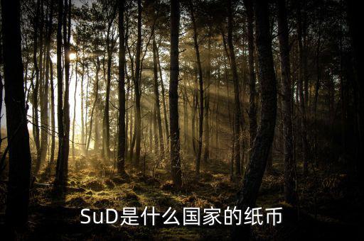 sud是什么貨幣，SUD是什么貨幣單位