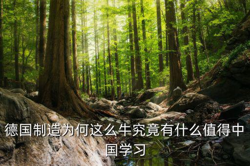 德國制造學(xué)什么，請問知情的盆友們?nèi)サ聡魧W(xué)材料加工類鑄造焊接模具