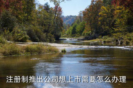 注冊(cè)制上市要什么條件，注冊(cè)制推出公司想上市需要怎么辦理