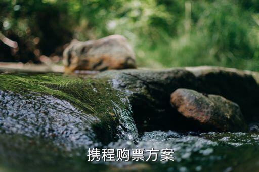 攜程上怎么買(mǎi)聯(lián)程票,親愛(ài)的旅客請(qǐng)?zhí)嵩缬喥币悦獾⒄`乘車(chē)時(shí)間