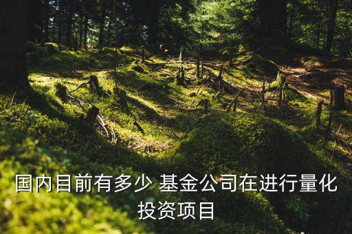 519983基金怎么樣,股票分析:國人應該買什么股票?