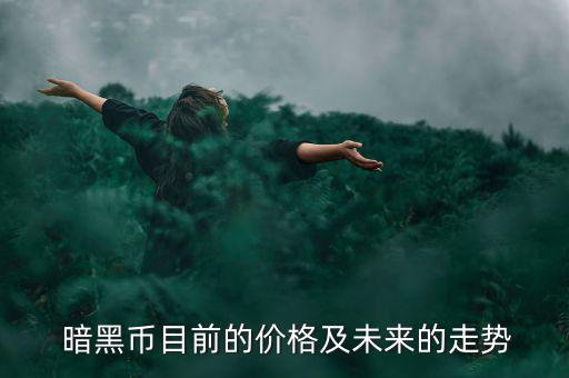  暗黑幣目前的價(jià)格及未來的走勢