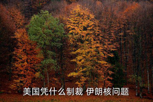 伊朗核問(wèn)題是怎么回事,美國(guó)有幾個(gè)流氓國(guó)家比如朝鮮伊朗等國(guó)家