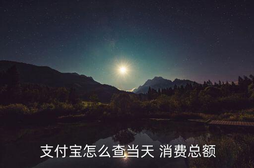 支付寶怎么看消費(fèi)比例,支付寶查詢(xún)?nèi)障M(fèi)總額方法如下