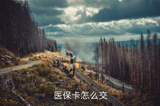 醫(yī)?？ㄔ趺蠢U納,如何繳納職工醫(yī)保?
