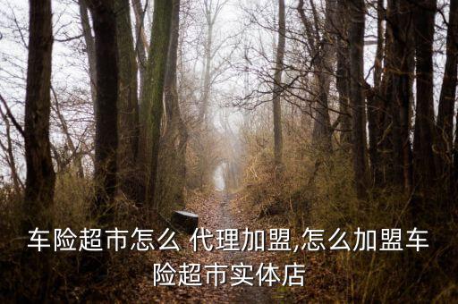 怎么開(kāi)車險(xiǎn)代理門(mén)店,網(wǎng)上車險(xiǎn)須自己辦理代理人技術(shù)比較全面!