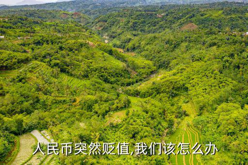 人民幣崩盤(pán)怎么保值,人民幣貶值可以買(mǎi)入外幣加速貶值