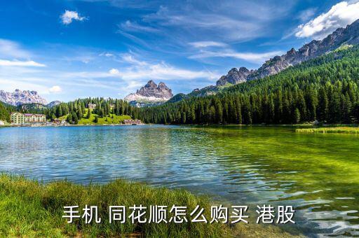 同花順怎么看港股,通過(guò)同花順查詢前十大流通股東方法如下