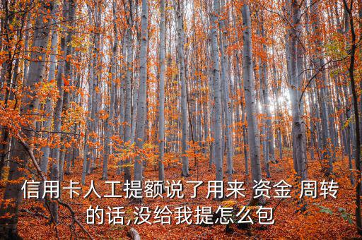 信用卡人工提額說了用來 資金 周轉的話,沒給我提怎么包