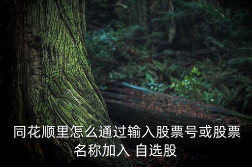  同花順里怎么通過(guò)輸入股票號(hào)或股票名稱(chēng)加入 自選股