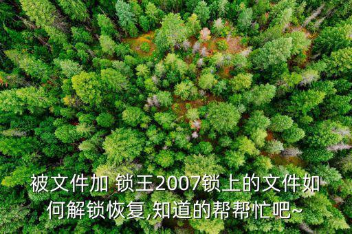 被文件加 鎖王2007鎖上的文件如何解鎖恢復,知道的幫幫忙吧~