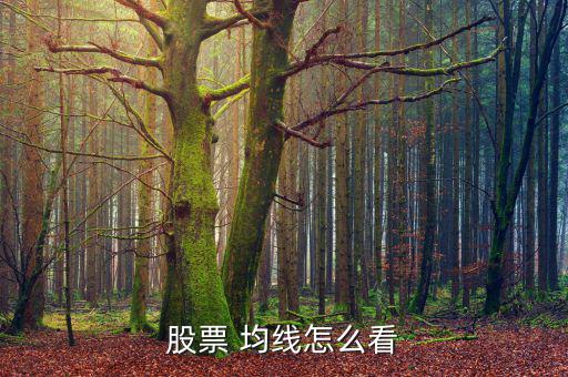 股盤(pán)均線(xiàn)怎么看,股價(jià)均線(xiàn)交易系統(tǒng)