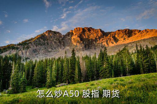 個(gè)人怎么做股指期貨,股指期貨開(kāi)戶(hù)須滿(mǎn)足什么條件?