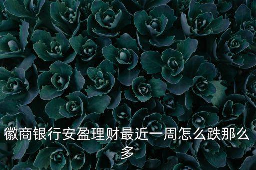 泓信安盈五期怎么了,基金份額最短持有期屆滿(mǎn)日前不能申請(qǐng)贖回