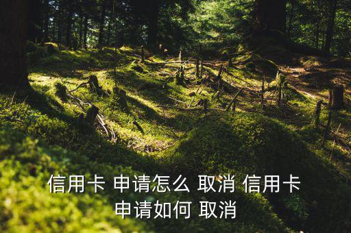  信用卡 申請?jiān)趺?取消 信用卡 申請如何 取消