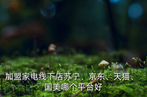 加盟家電線下店蘇寧、京東、天貓、 國美哪個平臺好